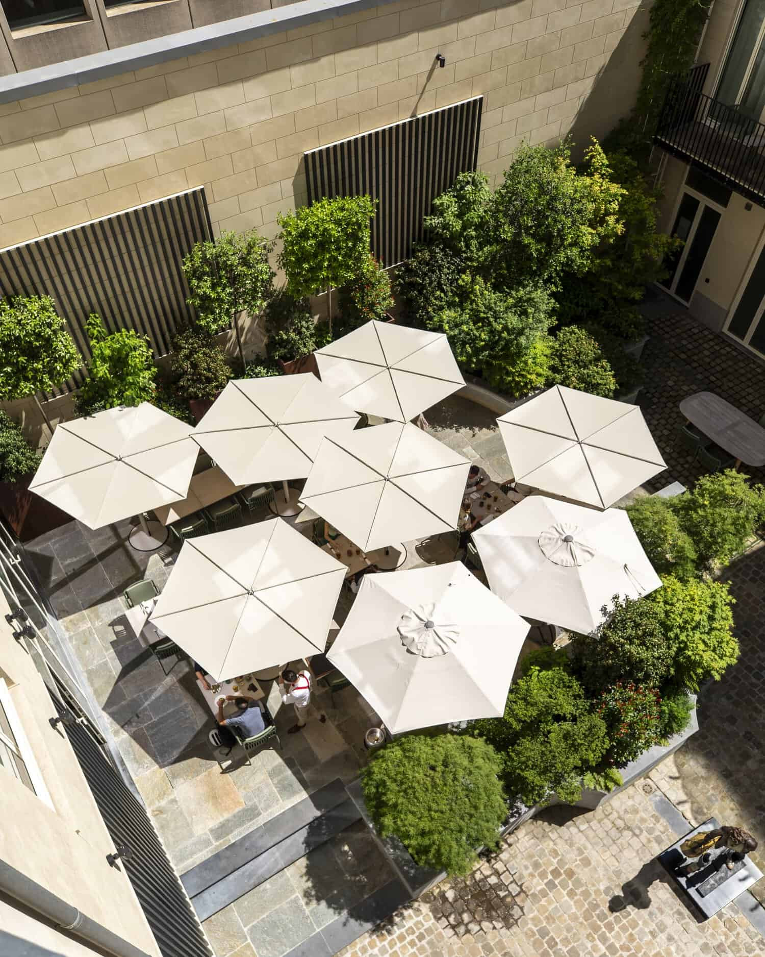 Interior patio with trees and tables 